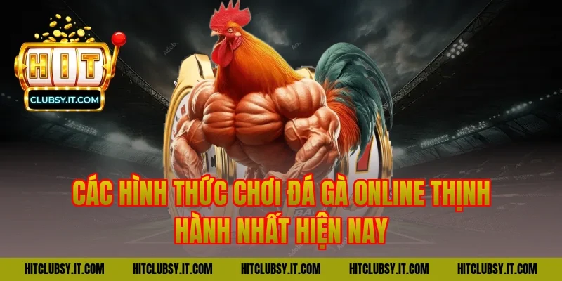 Các Hình Thức Chơi đá gà online Thịnh Hành Nhất Hiện Nay